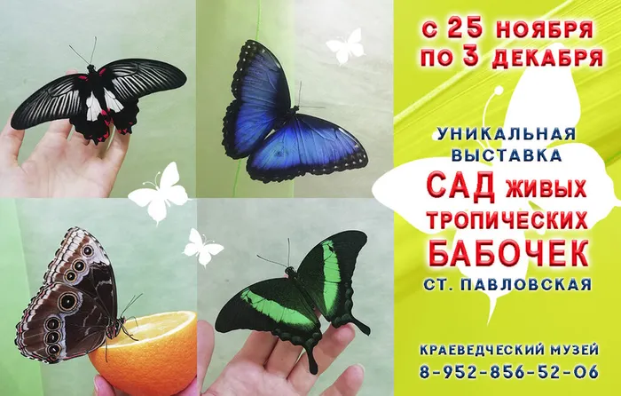 пост Павловская