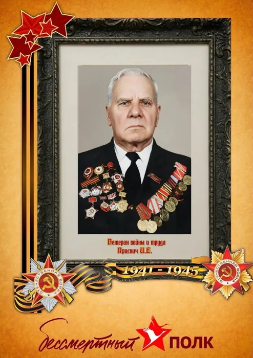 Приснич И.Е.