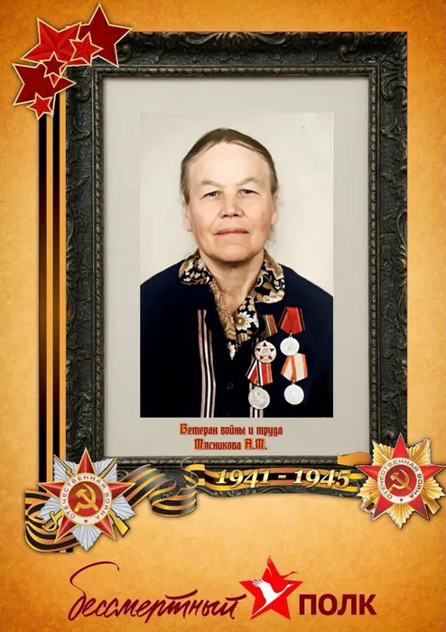 Мясникова А.М.