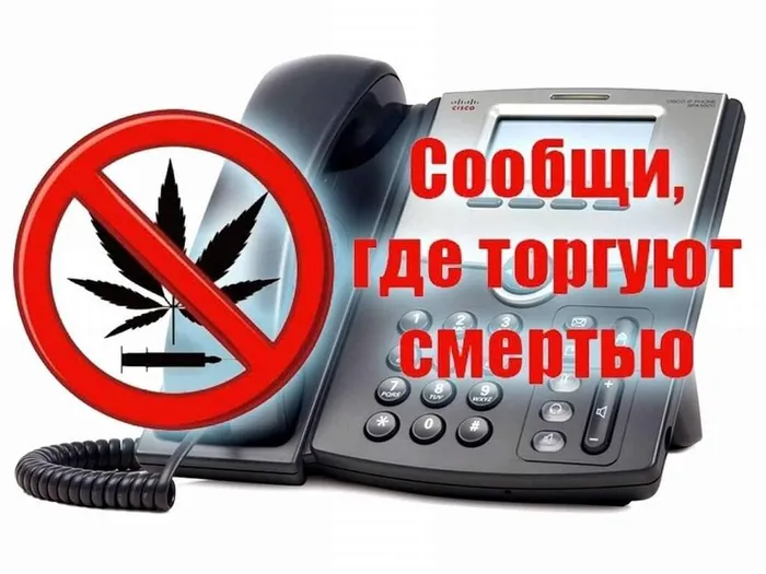 5caac449-adf1-597a-af99-e30431afc025
