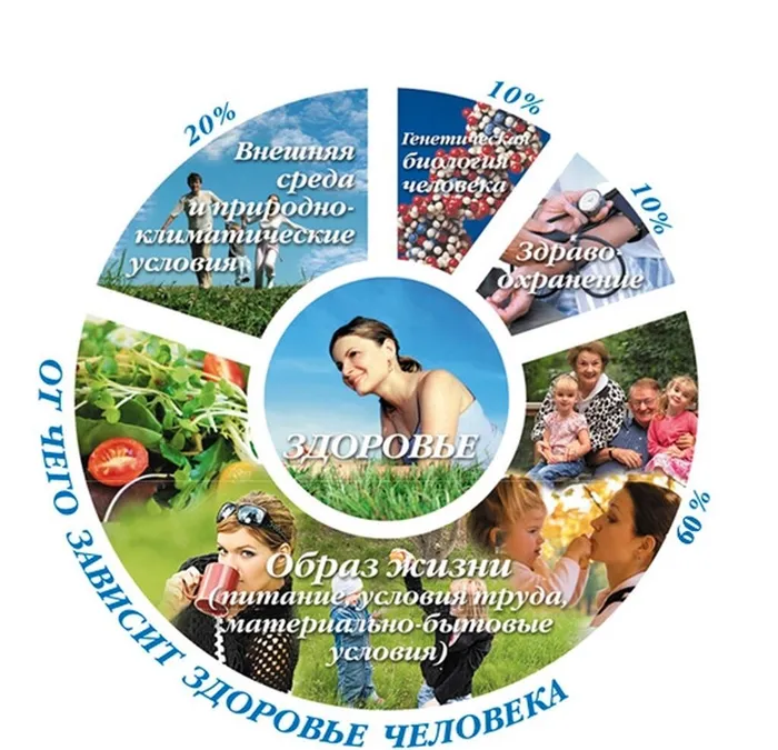 Скриншот 13-01-2025 103243