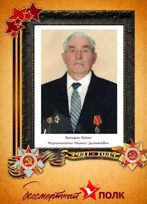 Мирошниченко Михаил Демьяновичв рамке
