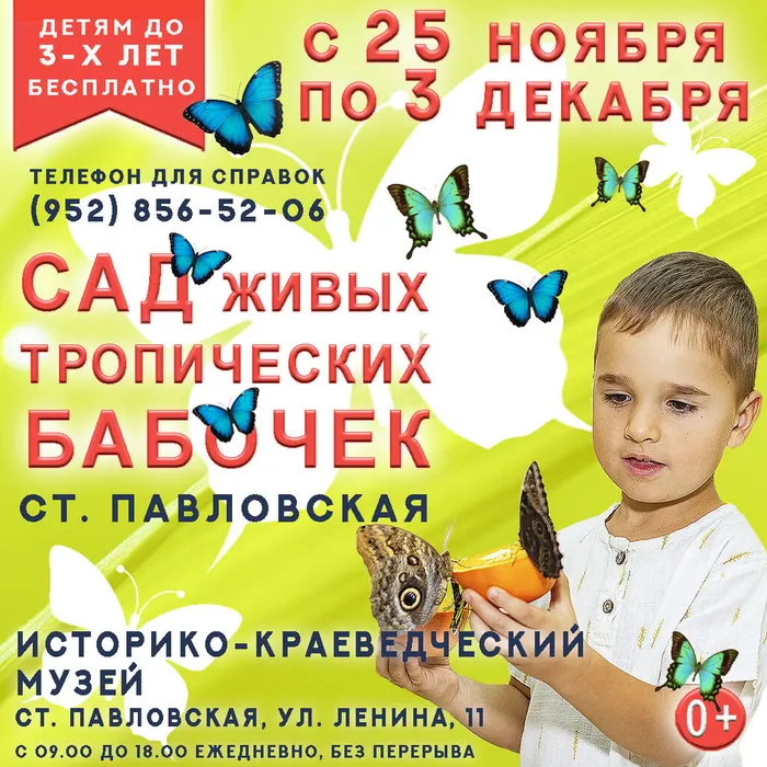 баннер Instagram Павловская